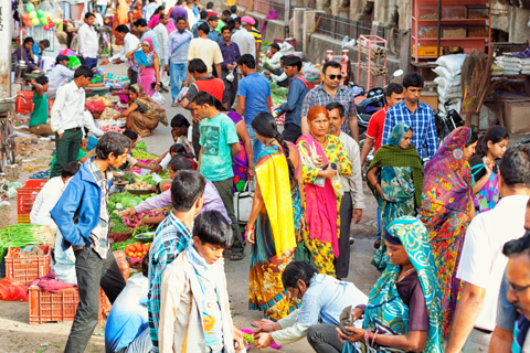 Excursão particular de 1 dia a Jaipur: Descubra em um Tuk-Tuk