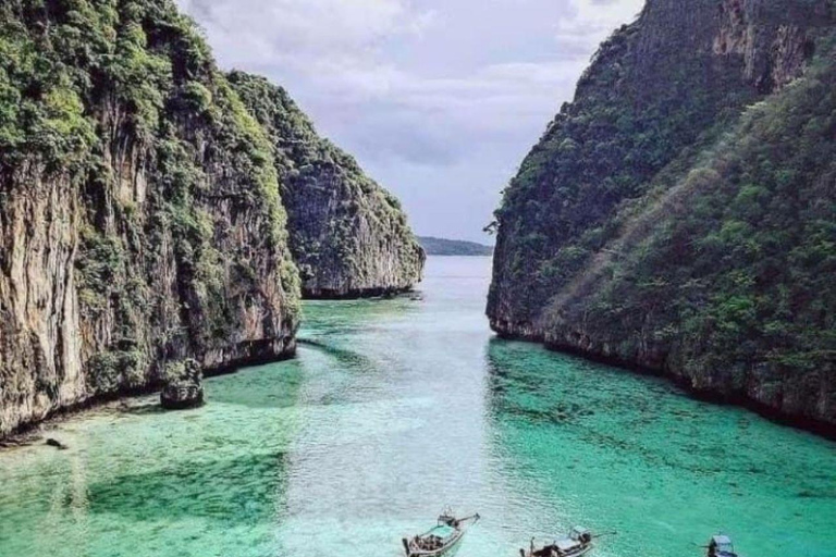 From Phi Phi: Morning/Afternoon Phi Phi Island Longtail Boat Half-Day Morning Phi Phi Island by Longtail Boat