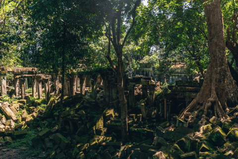 Siem Reap: Kulen Berg, Beng Mealea en Tonle Sap TourPrivétour