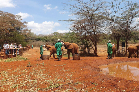 Elephant Orphanage,Beads Center & Nairobi National Museum