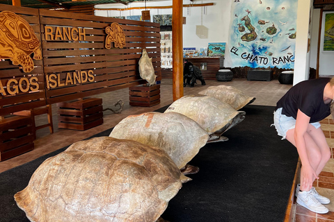 Galapagos: Exclusive 7-Day Tour – Santa Cruz, Isabela, and Santa Fe with Snorkeling Galapagos: Exclusive 7-Day Tour of Santa Cruz, Isabela, and Santa Fe with Snorkeling