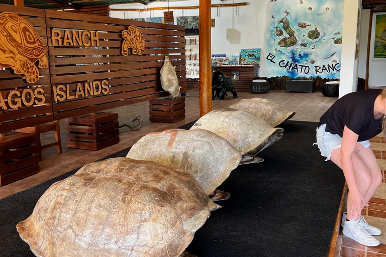 Galapagos: Exclusive 7-Day Tour – Santa Cruz, Isabela, and Santa Fe with Snorkeling Galapagos: Exclusive 7-Day Tour of Santa Cruz, Isabela, and Santa Fe with Snorkeling