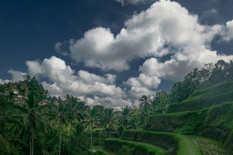 Ubud: Foresta delle scimmie, cascata di Tegenungan e terrazze di riso