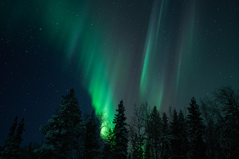 Levi: Aurora Borealis Tracking, Learning, & Photography Tour