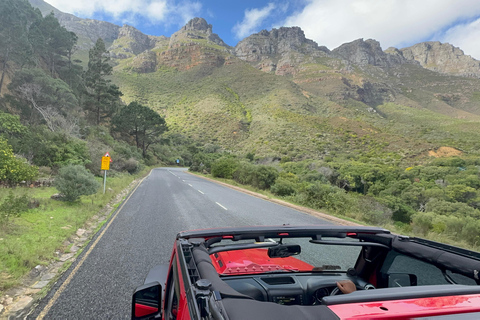 Cape Town: Cape Peninsula Jeep Safari Adventure