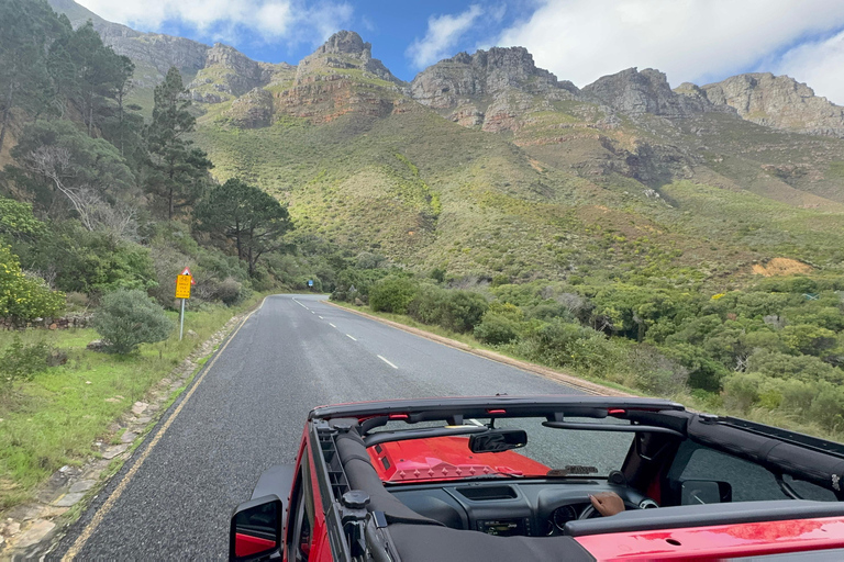 Cape Town: Cape Peninsula Jeep Safari Adventure