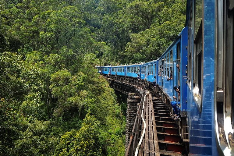 Sri Lanka : Destaques da viagem : Viagem de 8 dias ao Sri Lanka