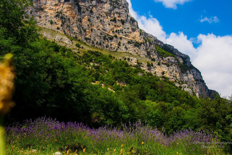 Viaggio in campagna in Provenza