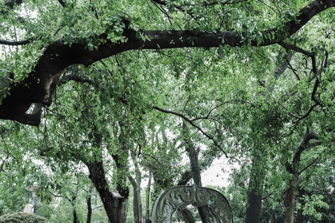 Guilin City Shared Day Trip: Elephant Hill, Cruise & Cave