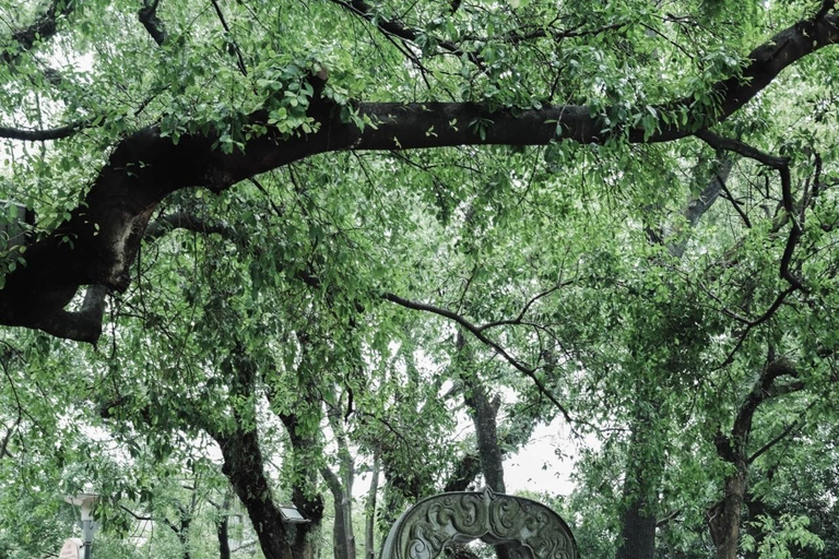 Guilin City Shared Day Trip: Elephant Hill, Cruise & Cave