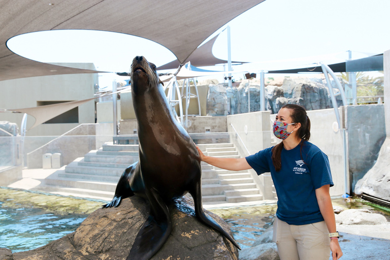 Los Angeles: Företrädesbiljett till Aquarium of the Pacific