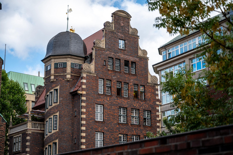 Hamburg: Historic WW2 Walking Tour & Panorama in Small Group