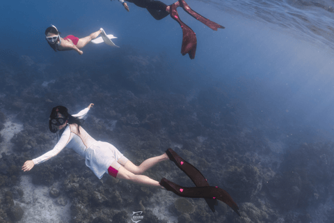 Discover Freediving in Boracay