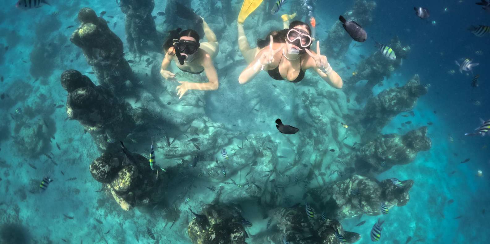 Bali snorkeling tour — underwater marine life and coral reefs — image 1