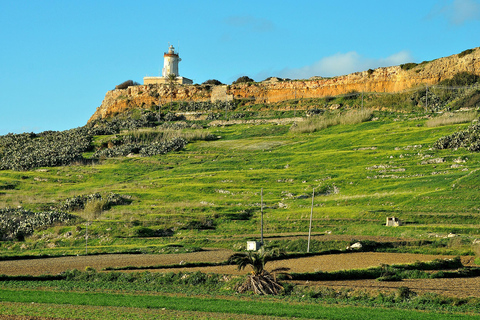 Von Malta aus: Gozo 4x4 Buggy Tour mit Mittagessen und TransfersMit ungarischsprachiger Tourleitung