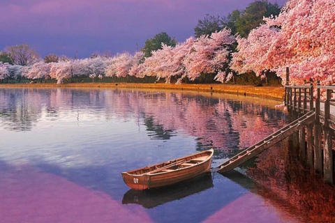 From Tokyo: Mt. Fuji & Hakone Private Scenic Day Tour
