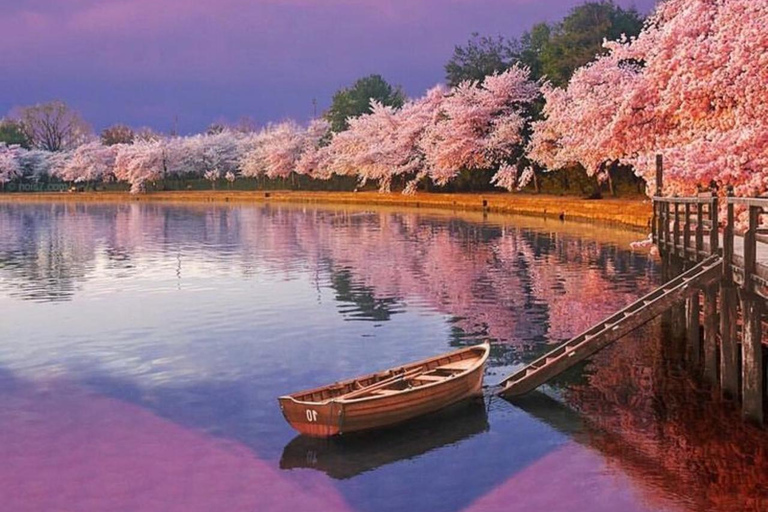 From Tokyo: Mt. Fuji & Hakone Private Scenic Day Tour