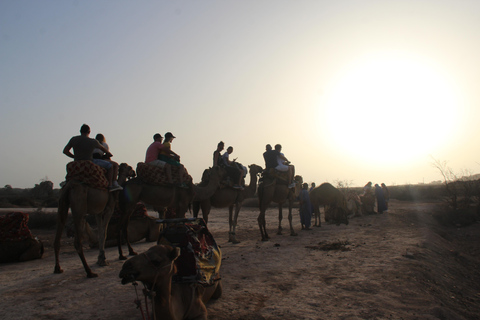 Agadir : balade à dos de chameau ou à cheval au coucher du soleil avec dîner barbecueAgadir : Balade au coucher du soleil à dos de chameau ou à cheval avec dîner barbecue