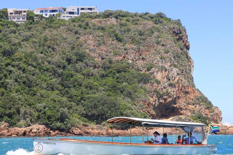 Cape Town: 7-Day Garden Route Safari Adventure