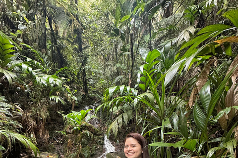Birdwatching to Biotopo del Quetzal from Antigua Guatemala