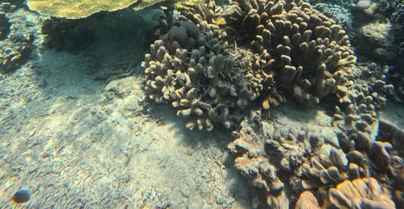 Gili Trawangan: Small Group Snorkeling Trip with GoPro