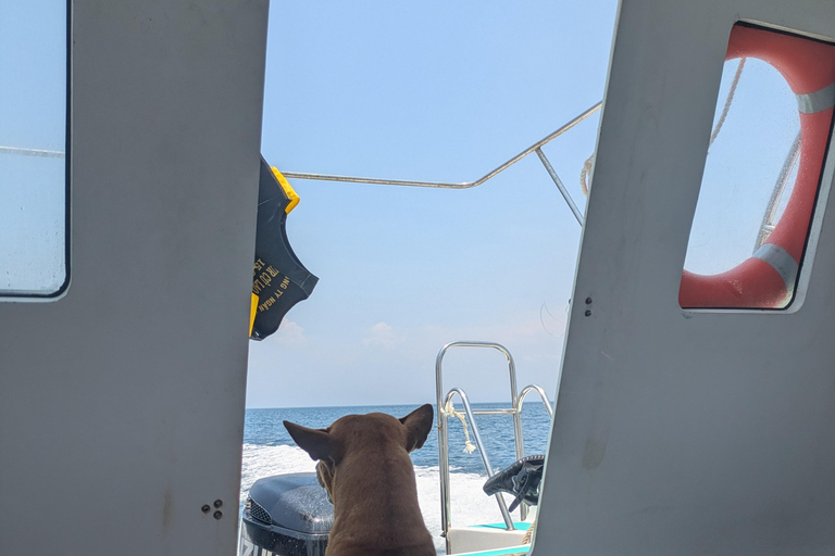 Private/small group Cham Island Tour (shared speed boat) Private - small group Cham Island Snorkeling Tour w lunch