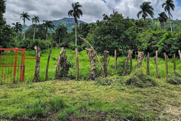 Puerto Plata: City and Countryside Tour with Beach Visit