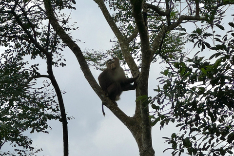 Santuario de My Son y Senderismo de Montaña - PeregrinaciónMi hijo Santuario Viaje de madrugada