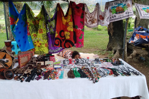 Ogród Śpiącego Olbrzyma z wycieczką do gorących źródeł Tifajek MudpoolHotele w Nadi / Port Denarau / Double Tree / Odbiór z Vuda