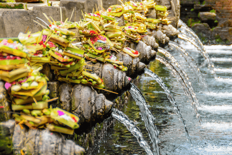 Bali: Ubud Tour with Sacred Monkey Forest & Rice Terraces