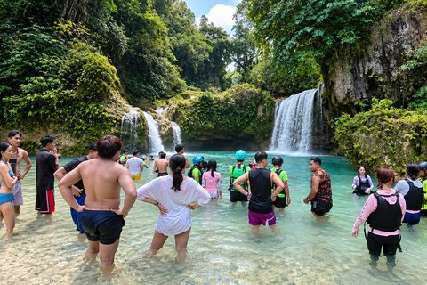 Cebu: Swim with Gentle Giants, Twin Falls & Sardine Run