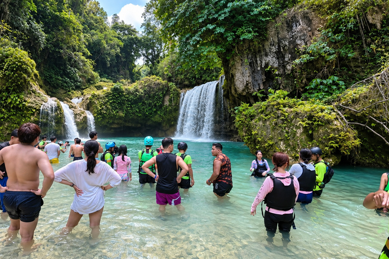 Cebu: Swim with Gentle Giants, Twin Falls & Sardine Run