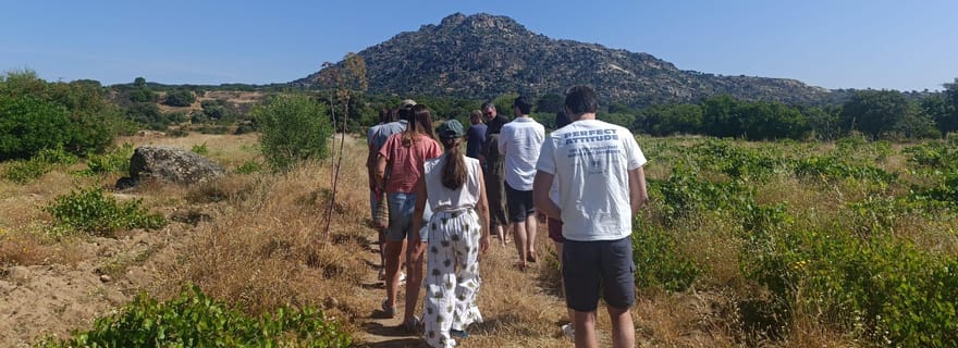 Visite des caves de Madrid : visite et dégustation avec un sommelier guide