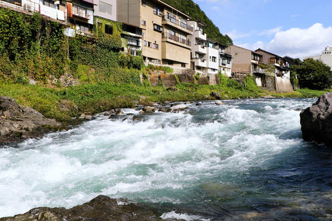 Vanuit Nagoya: Dagtocht Gujo, Hida Takayama en Shirakawa-go