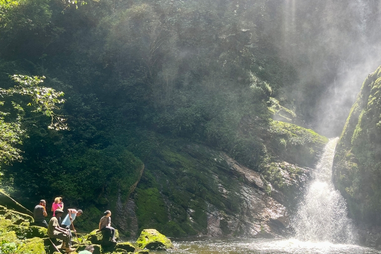 2-daagse Canopy walkaway & waterval in het Nyungwe-regenwoud2-daagse Canopy walkaway en waterval in het Nyungwe-regenwoud