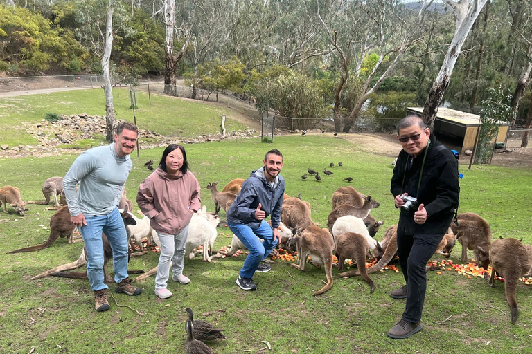 Von Adelaide aus: Kuscheln mit einem Koala und historische Hahndorf-Tour