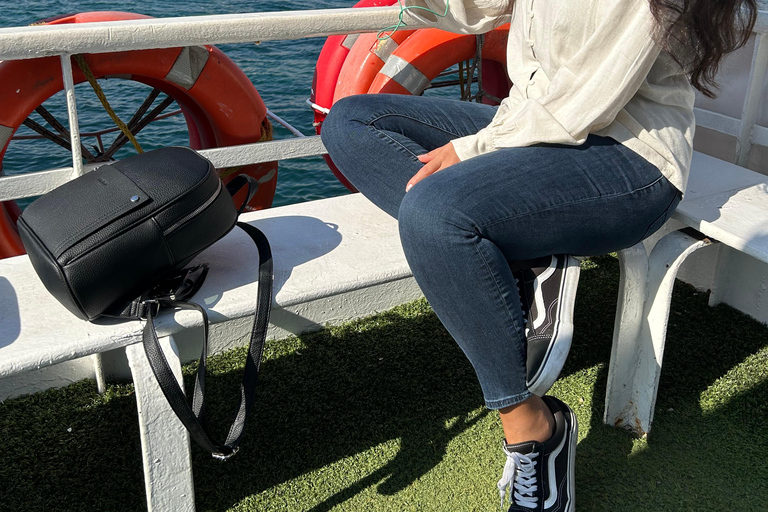 Istanboel: Meisjestoren flexibel ticket en audiogids-appIstanbul: Maiden's Tower Flexibel ticket &amp; audiogids App