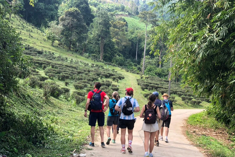 Chiang Rai: Jungle Adventure-Group Trekking & Bamboo Cooking