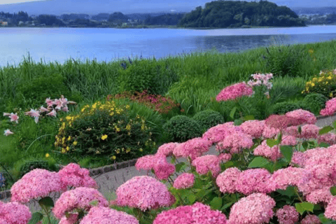 From Tokyo: Mount Fuji Full Day Customizable Private Tour