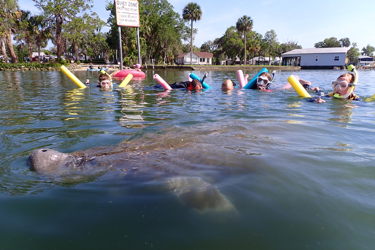 Crystal River: Guided Manatee Tour Heated Boat Free Photos