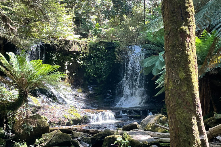 Mount Field National Park Russell Falls (6hr Private Tour)
