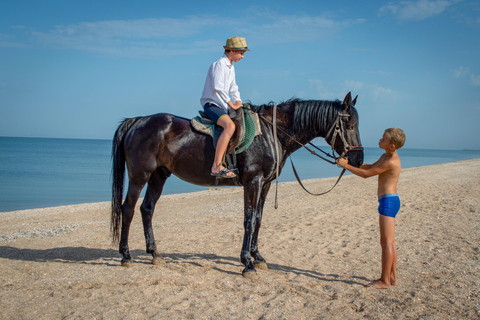 Djerba – Paardrijden naar het eiland van de flamingo&#039;sDjerba - Paardrijden naar het Roze Flamingo-eiland