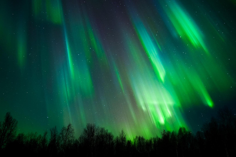 Levi: Excursión a la Aurora Boreal con avistamiento garantizado