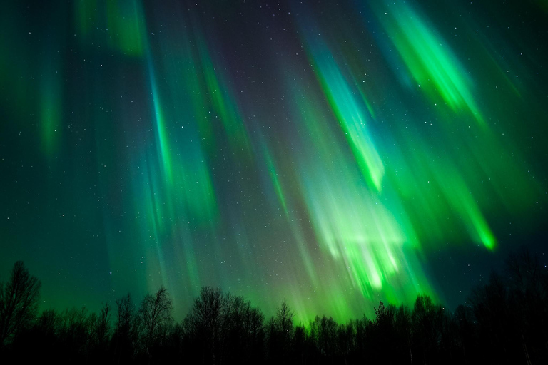 Levi: Excursão à aurora boreal com observação garantida