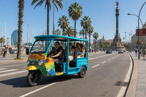 Barcelona: Private Electric Tuk Tuk Sightseeing Tour with Local Driver-Guide Barcelona: 3-Hour Private E-Tuk-Tuk Tour with a Local Guide