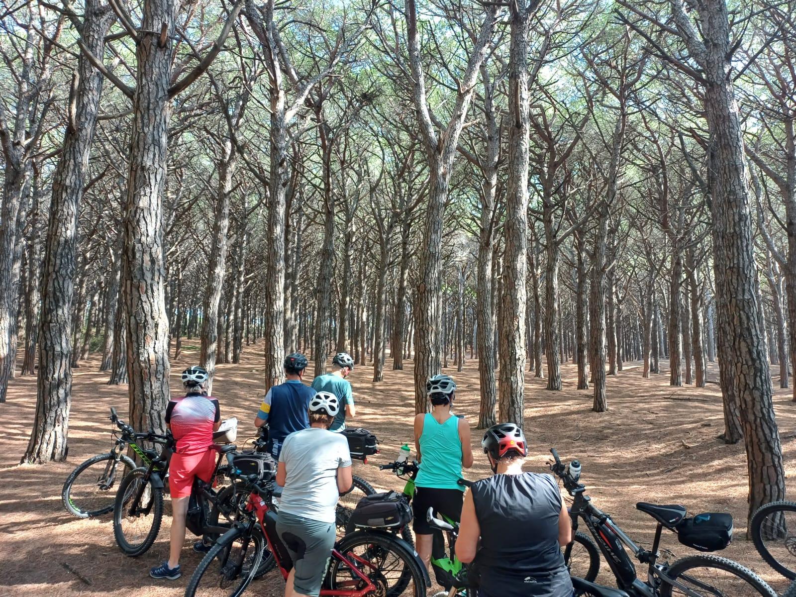 Ab Livorno: Malerische E-Bike-Tour nach Pisa durch den Naturpark