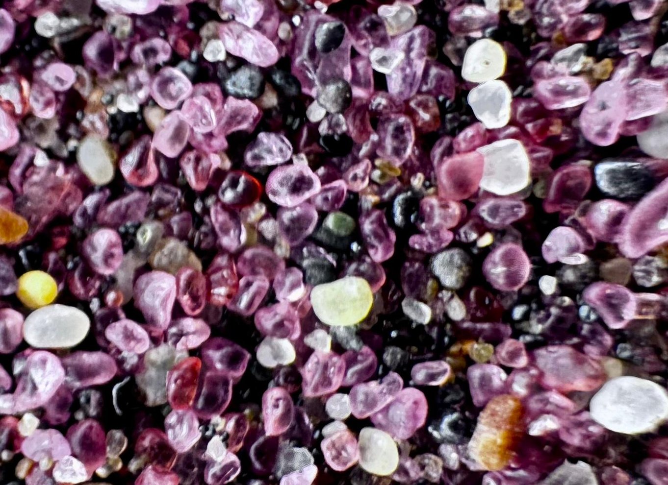 Walvis Bay: 4x4 ørkenudflugt til Sandwich Harbour Bay