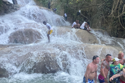 Montego Bay: Blue Hole, Secret Falls, and Dunn's River Tour