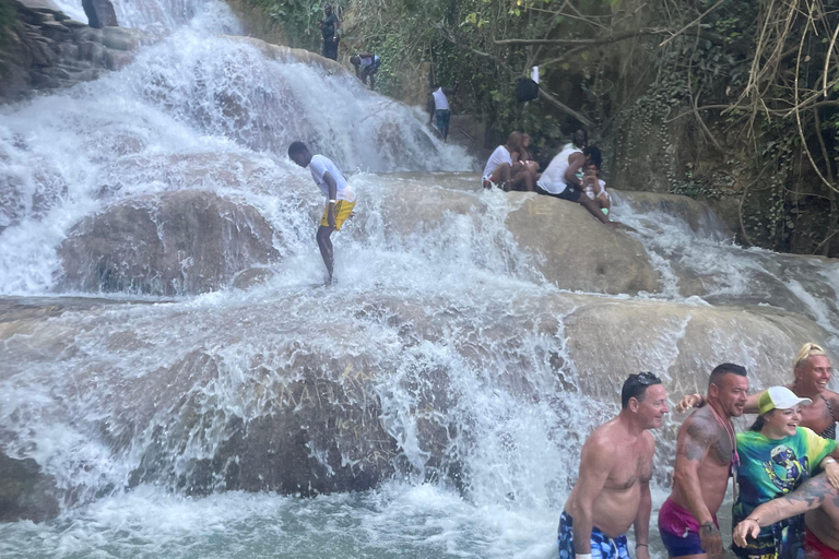 Montego Bay: Blue Hole, Secret Falls, and Dunn's River Tour