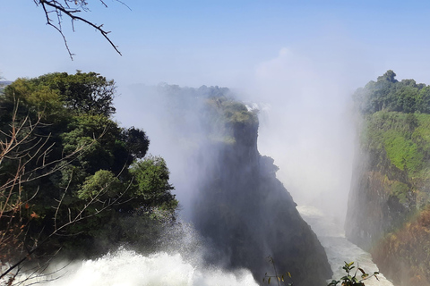 Victoria Falls: Guided tour by local guides Private tour in English